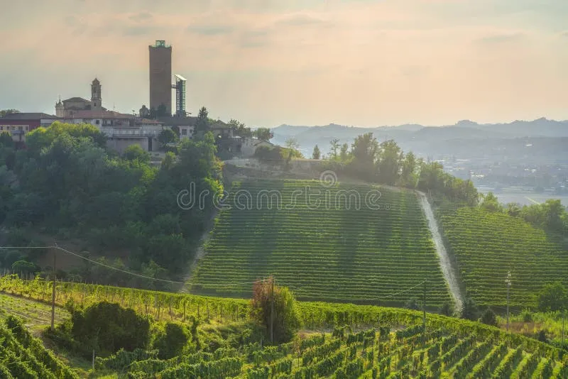 Calice al tramonto: l'aperitivo langarolo che comincia quando il Nebbiolo diventa oro