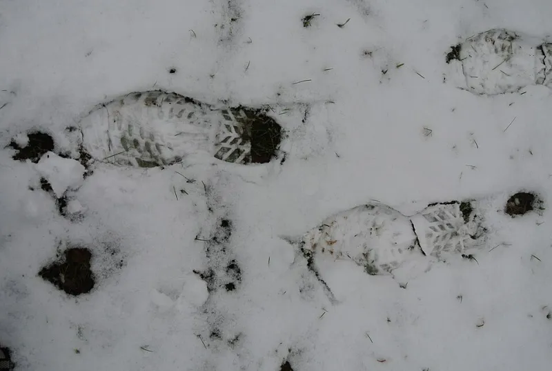 Camminare le Langhe: cinque itinerari a piedi che finiscono a tavola