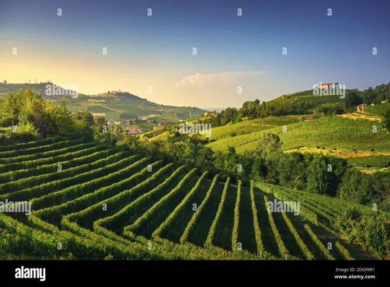 L'estate che nessuno si aspetta: le Langhe di giugno senza la folla