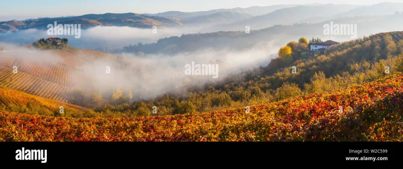Marzo alle Langhe: la stagione che i locali tengono per sé