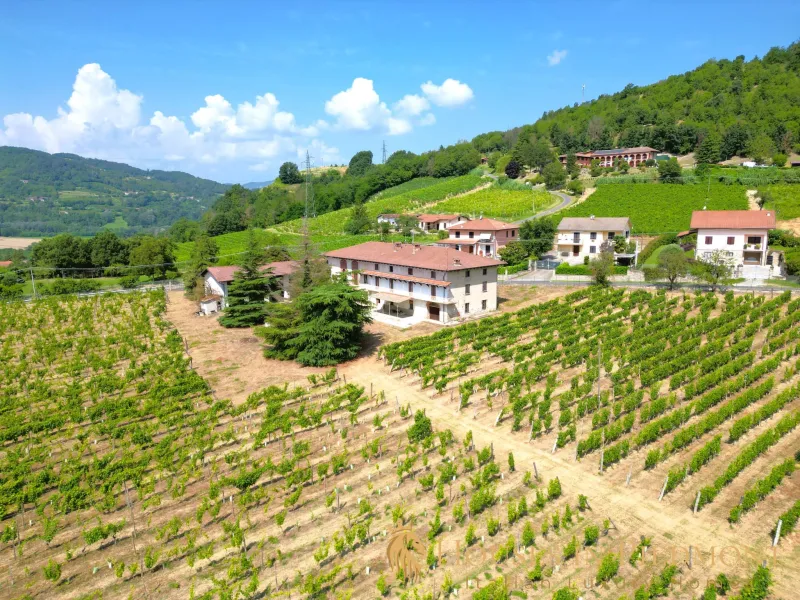 Nebbiolo, doghe e briciole: la notte vera nelle cascine delle Langhe